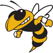 georgiatechyellowjackets